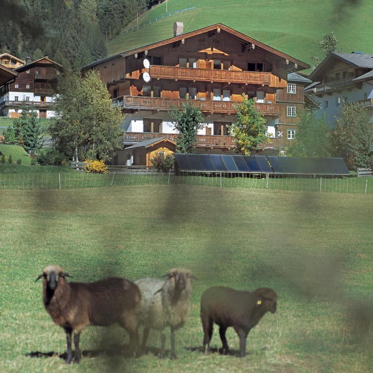 Ferienpension Senfter Иннерфильгратен Экстерьер фото
